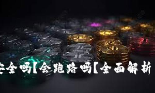 TPWallet安全吗?会跑路吗?全面解析与风险评估