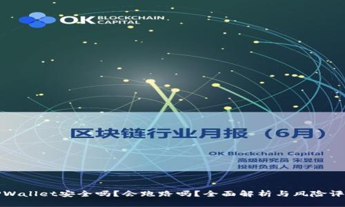 TPWallet安全吗?会跑路吗?全面解析与风险评估