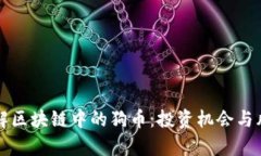 深入了解区块链中的狗币：投资机会与风险分析