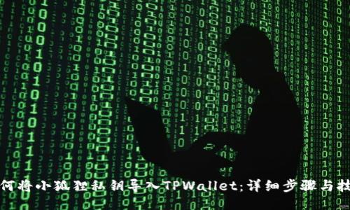 如何将小狐狸私钥导入TPWallet:详细步骤与技巧