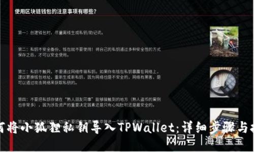 如何将小狐狸私钥导入TPWallet:详细步骤与技巧