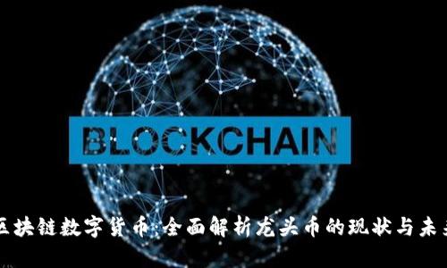 区块链数字货币:全面解析龙头币的现状与未来