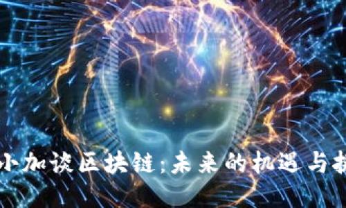李小加谈区块链:未来的机遇与挑战