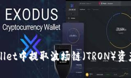如何在TPWallet中提取波场链(TRON)资产的详细指南