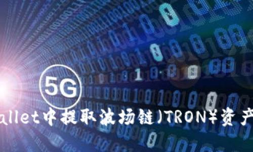 如何在TPWallet中提取波场链(TRON)资产的详细指南