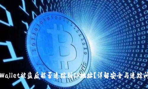 TPWallet被盗后能否追踪到IP地址?详解安全与追踪问题