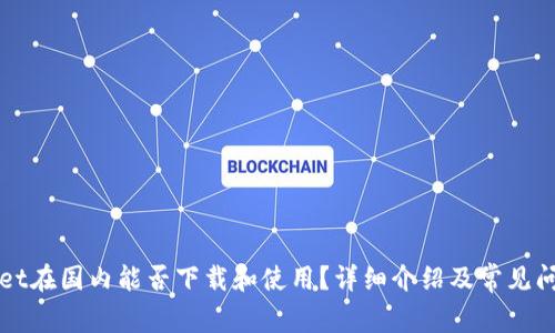 TPWallet在国内能否下载和使用？详细介绍及常见问题解答