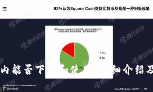 TPWallet在国内能否下载和使用？详细介绍及常见问题解答