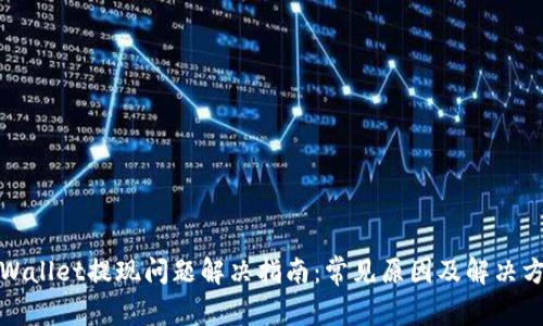 TPWallet提现问题解决指南：常见原因及解决方案