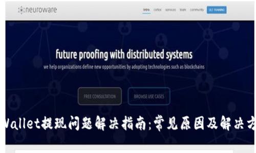 TPWallet提现问题解决指南：常见原因及解决方案