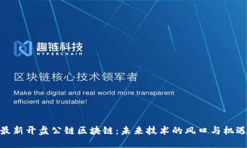 最新开盘公链区块链:未来技术的风口与机遇