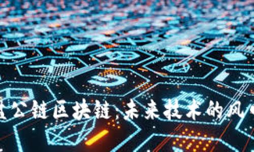最新开盘公链区块链:未来技术的风口与机遇