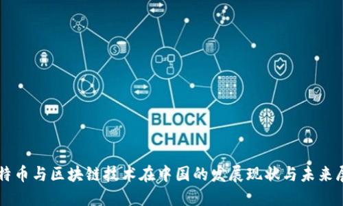 比特币与区块链技术在中国的发展现状与未来展望