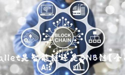 TP Wallet是智能链还是BNB链？全面解析