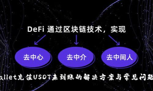 TPWallet充值USDT未到账的解决方案与常见问题分析