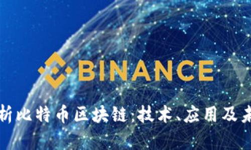 全面解析比特币区块链：技术、应用及未来前景