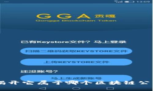 Pi币的背后：揭开它属于哪个区块链公司的神秘面纱