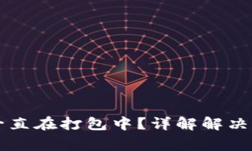 TPWallet提币一直在打包中？详解解决方案与常见问题