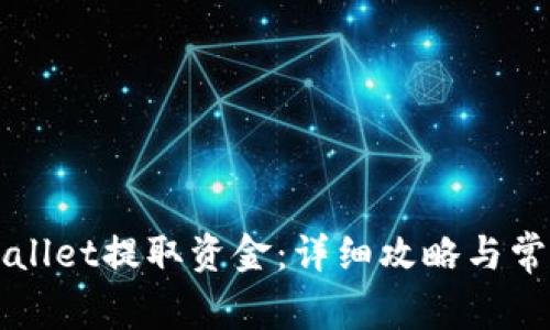 如何从TPWallet提取资金：详细攻略与常见问题解答