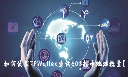 如何使用TPWallet查询EOS持币地址数量？