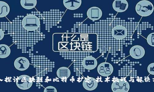 深入探讨区块链和比特币扩容：技术挑战与解决方案