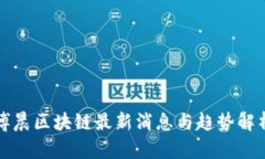 博晨区块链最新消息与趋势解析