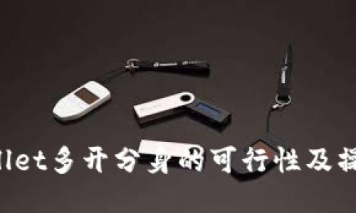 TP Wallet多开分身的可行性及操作指南