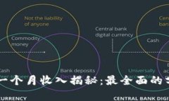 TPWallet一个月收入揭秘：最全面的分析与了解