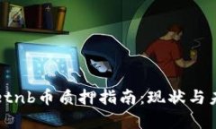 tpwalletnb币质押指南：现状与未来展望