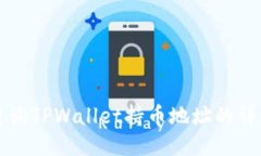 如何查询TPWallet持币地址的详细指南