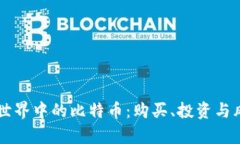 区块链世界中的比特币：购买、投资与风险解析