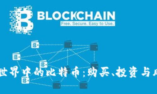 区块链世界中的比特币：购买、投资与风险解析