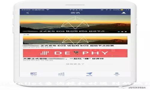 如何解决TPWallet查询授权时遇到的地址错误问题