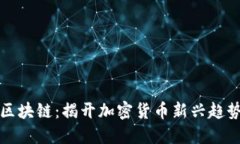 螺丝币区块链：揭开加密货币新兴趋势的面纱