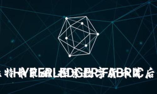 区块链与比特币策略：探索数字货币背后的技术革命