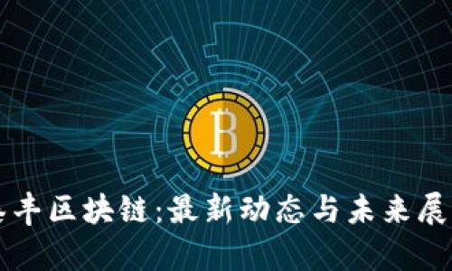 泰丰区块链：最新动态与未来展望