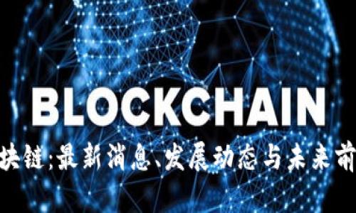 EDC区块链：最新消息、发展动态与未来前景解析