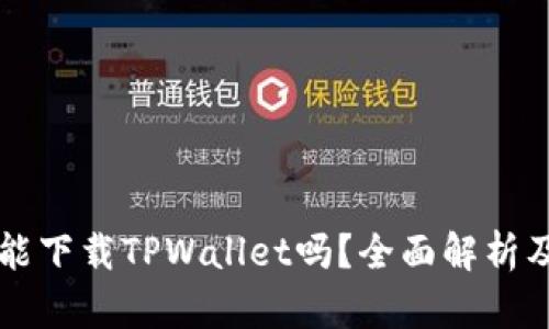 苹果手机能下载TPWallet吗？全面解析及操作指南