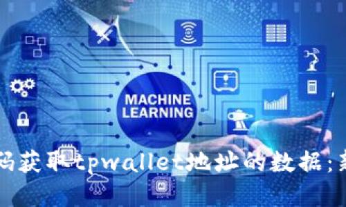 如何通过代码获取tpwallet地址的数据：新手必看指南