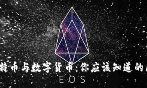 区块链、比特币与数字货币：你应该知道的区别与选择