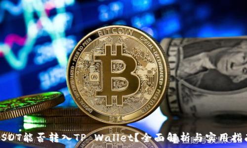   
USDT能否转入TP Wallet？全面解析与实用指南