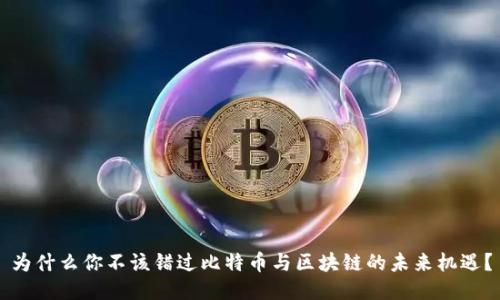 为什么你不该错过比特币与区块链的未来机遇？