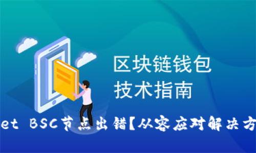 TPWallet BSC节点出错？从容应对解决方案解读