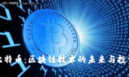 解密比特币：区块链技术的未来与投资机遇