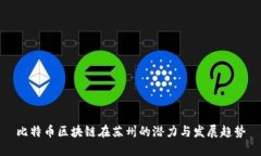 比特币区块链在苏州的潜力与发展趋势