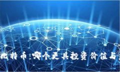 区块链与比特币：哪个更具投资价值与未来潜力