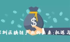 2023年深圳区块链产业的未来：机遇与挑战并存