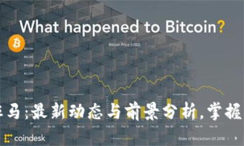 区块链斑马：最新动态与前景分析，掌握行业趋势