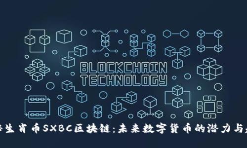 揭秘生肖币SXBC区块链：未来数字货币的潜力与趋势