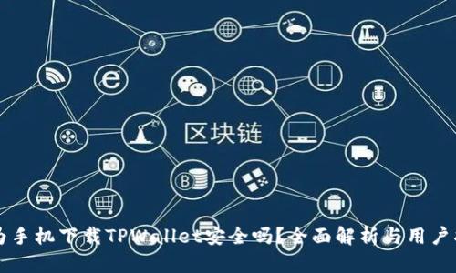 华为手机下载TPWallet安全吗？全面解析与用户指南